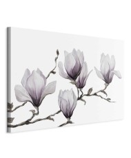 Paveikslas Tapytos magnolijos