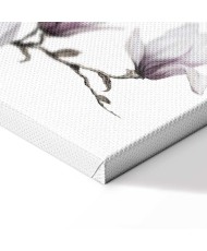 Paveikslas Tapytos magnolijos