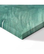 Paveikslas Tropinė flora