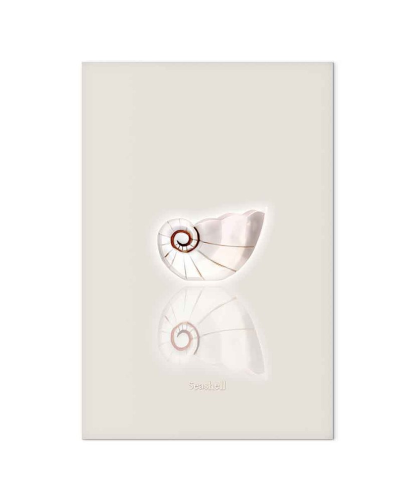 Paveikslas Keraminės kriauklės