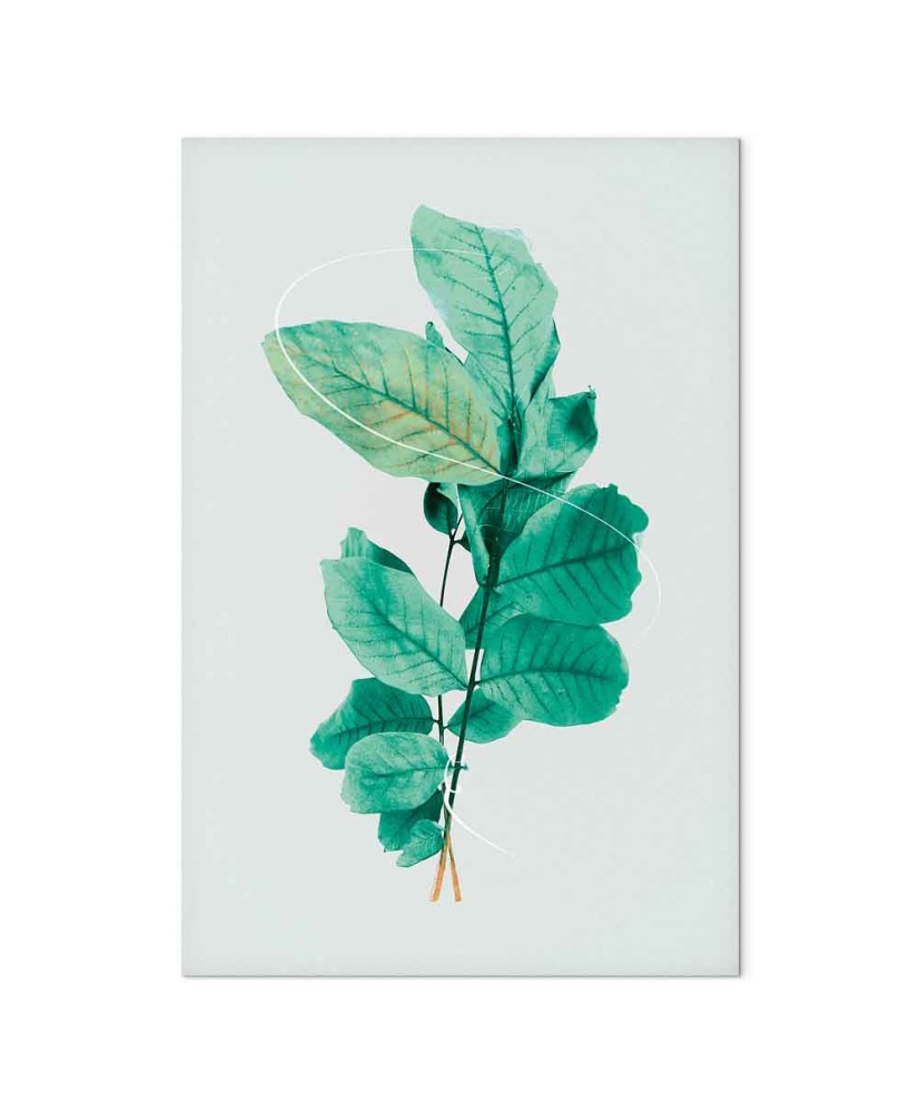 Paveikslas Mėtų grakštumas