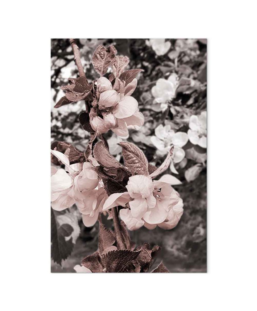 Paveikslas Gamtos pusiausvyra