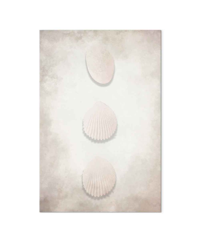 Paveikslas Vandenyno gausa