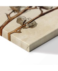 Paveikslas Medvilnės šakelės