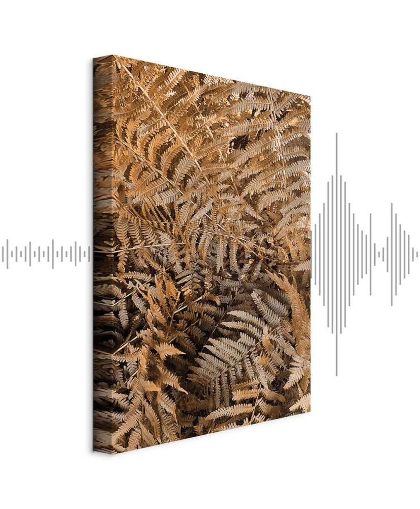 Paveikslas Paslaptingas papartis