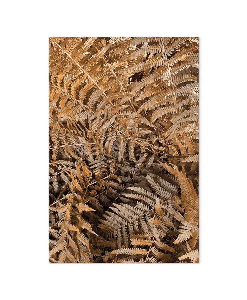 Paveikslas Paslaptingas papartis