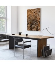 Paveikslas Paslaptingas papartis