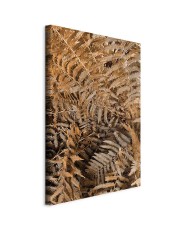 Paveikslas Paslaptingas papartis