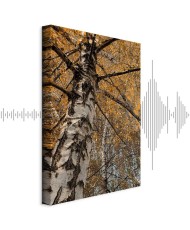 Paveikslas Rudens spalvos