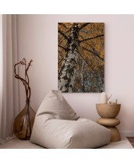 Paveikslas Rudens spalvos