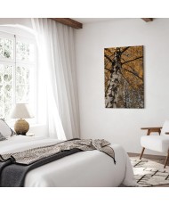 Paveikslas Rudens spalvos