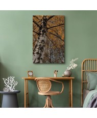 Paveikslas Rudens spalvos