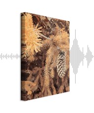 Paveikslas Auksinis kankorėžis