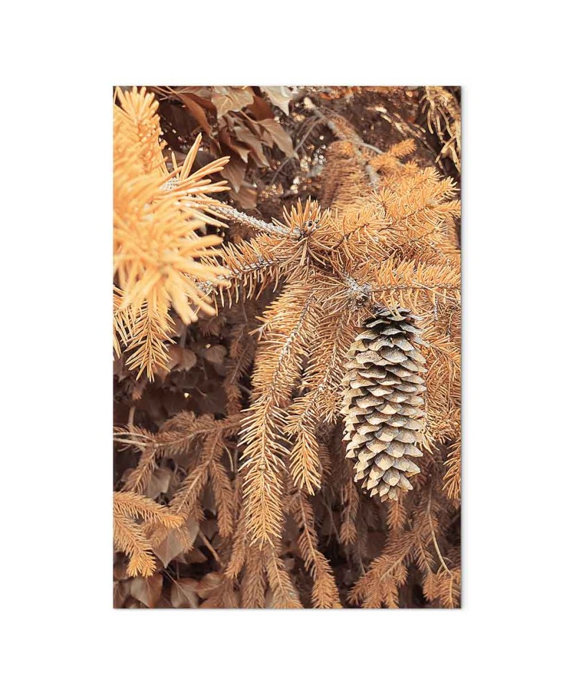 Paveikslas Auksinis kankorėžis