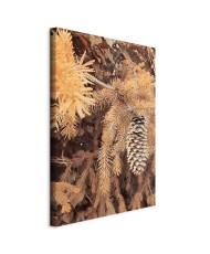 Paveikslas Auksinis kankorėžis