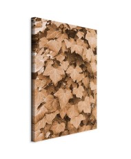 Paveikslas Rudens gebenė