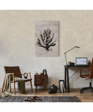 Paveikslas Jūros augalai