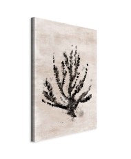 Paveikslas Jūros augalai