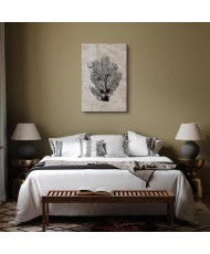 Paveikslas Jūros vėduoklė