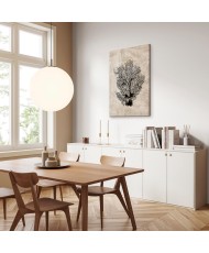 Paveikslas Jūros vėduoklė