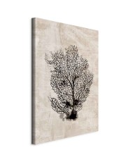 Paveikslas Jūros vėduoklė