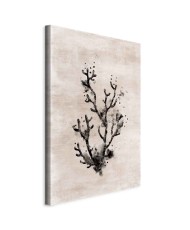 Paveikslas Vandenyno grožis