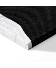 Paveikslas Nakties gėlė