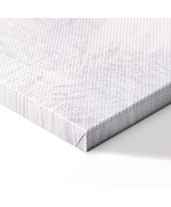 Paveikslas Vėjo gėlė