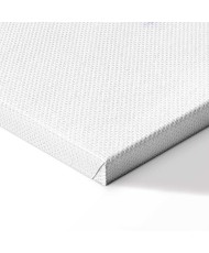 Paveikslas Augmenijos magija