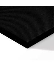 Paveikslas Spalvingas žydėjimas