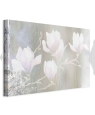 Paveikslas Baltos magnolijos