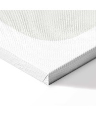 Paveikslas Monstera estetika