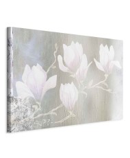 Paveikslas Baltos magnolijos