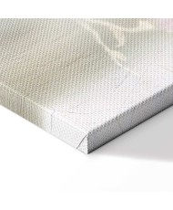 Paveikslas Baltos magnolijos