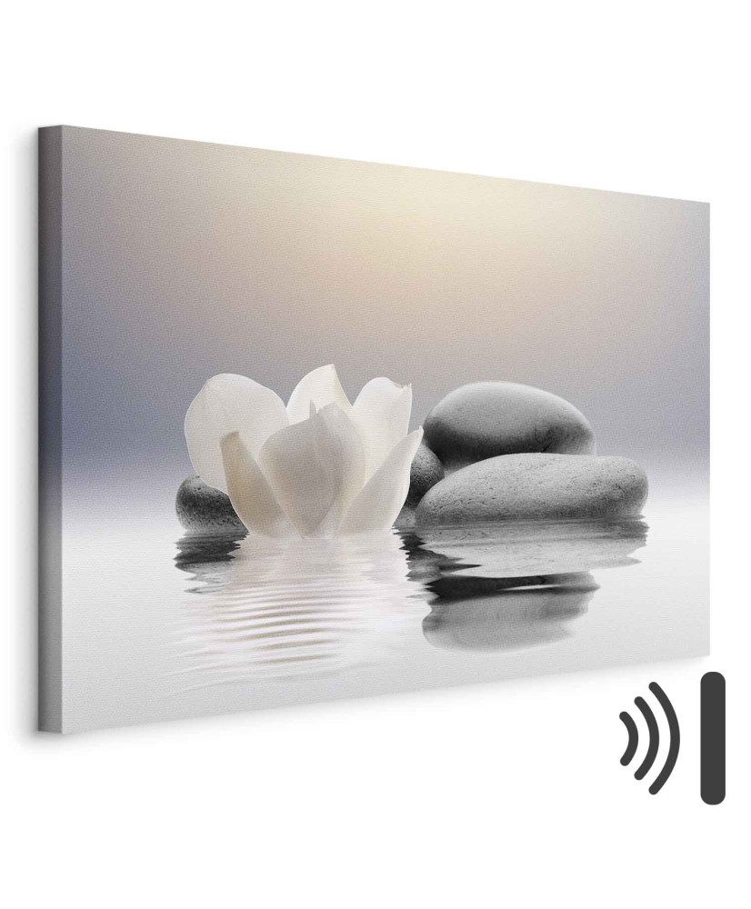 Paveikslas Ramus sodas