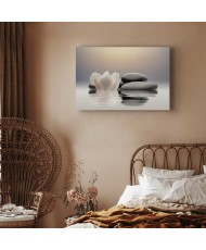 Paveikslas Ramus sodas