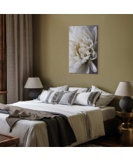 Paveikslas Balta dahlija