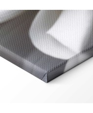 Paveikslas Balta dahlija