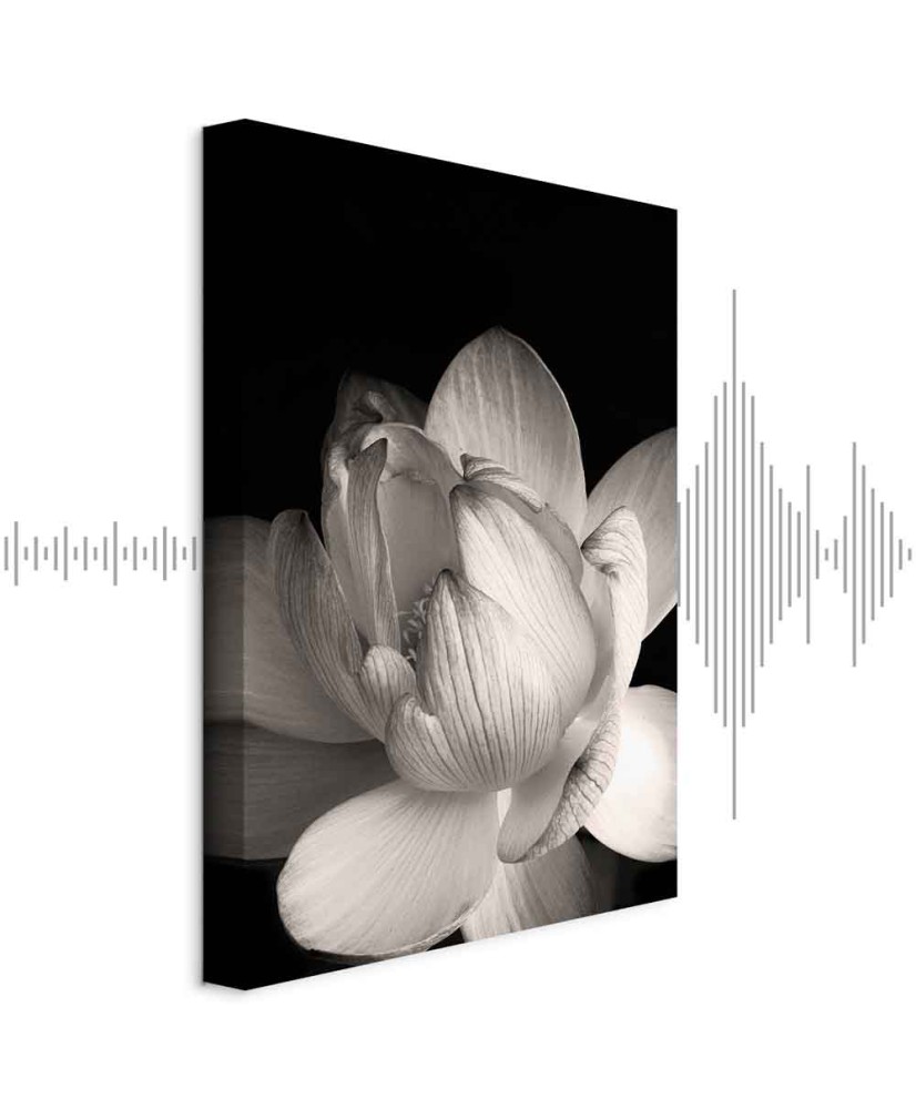 Paveikslas Subtilūs žiedlapiai