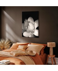 Paveikslas Subtilūs žiedlapiai