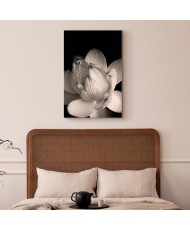 Paveikslas Subtilūs žiedlapiai