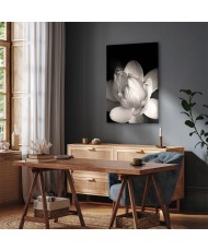 Paveikslas Subtilūs žiedlapiai