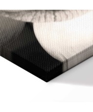 Paveikslas Subtilūs žiedlapiai