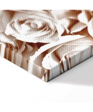 Paveikslas Rožių sodas