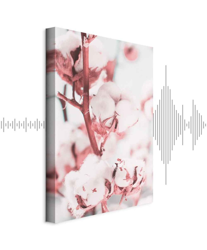 Paveikslas Žydinti medvilnė