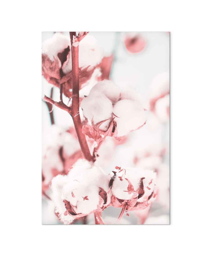 Paveikslas Žydinti medvilnė