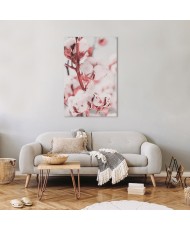 Paveikslas Žydinti medvilnė