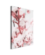 Paveikslas Žydinti medvilnė