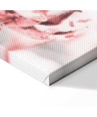 Paveikslas Žydinti medvilnė