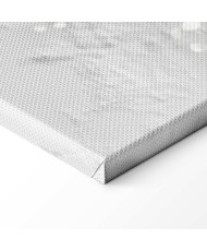 Paveikslas Magnolijos magija